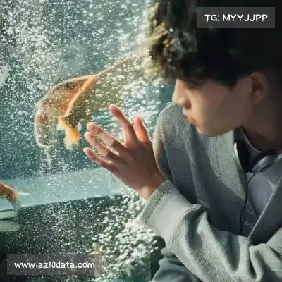 沈良彬